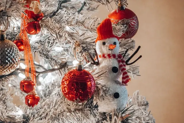 Christmas Home Decor in Hapur, Uttar Pradesh – Shadi Wala Londa